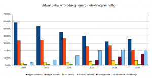 Udział paliw w produkcji energii elektrycznej