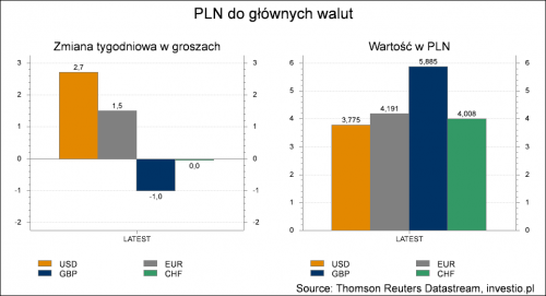 analiza pln