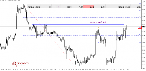 rys3 (7)