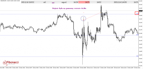 rys4 (5)
